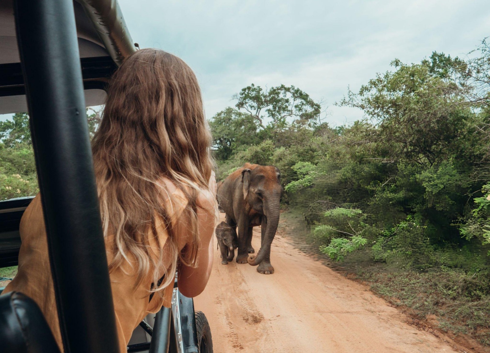 Traveller watching an elephant and calf from a safari jeep