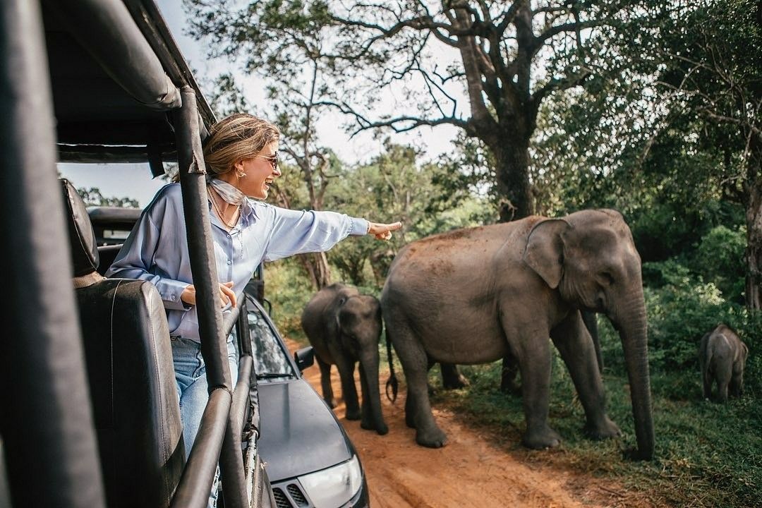 03 Hour Safari
